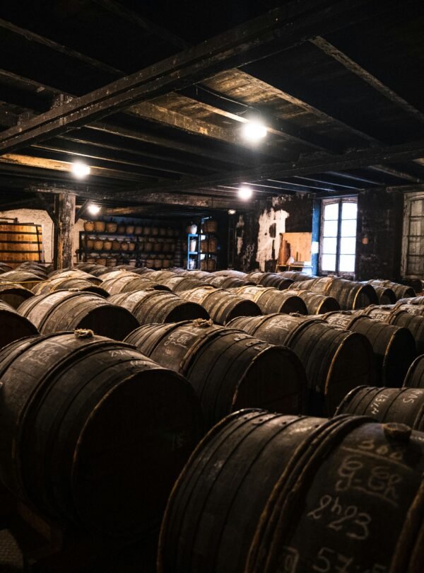 A dimly lit wine cellar in Bordeaux with numerous wooden barrels for aging wine.