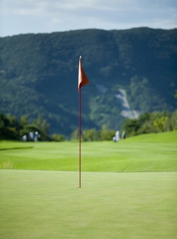 gb941bc881a3c004085307b6c955f3e9a50a203b2606d9d4366b9109ef3085ed63bddeb736f06858ab3ca1a8f0d61a8529a1a7a4e197aa34dd329de0e767ec8ac_1280-2704601 golf, golf tournament, nature, golf course, golf players, grass