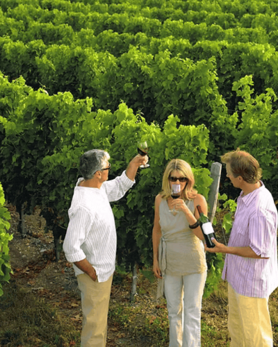 Private wine tasting experience in Bordeaux featuring local vintages in an intimate cellar setting.