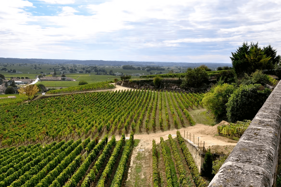 Wine tasting in Saint-Émilion